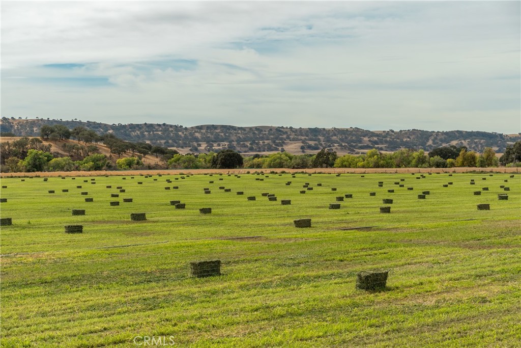 13625 Ea Highway Paso Robles, CA 93446 - Photo 7 of 29