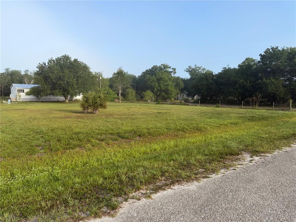 0 Southwest Miami Avenue Arcadia, FL 34266 - Photo 4 of 8 a view of field with trees in the background