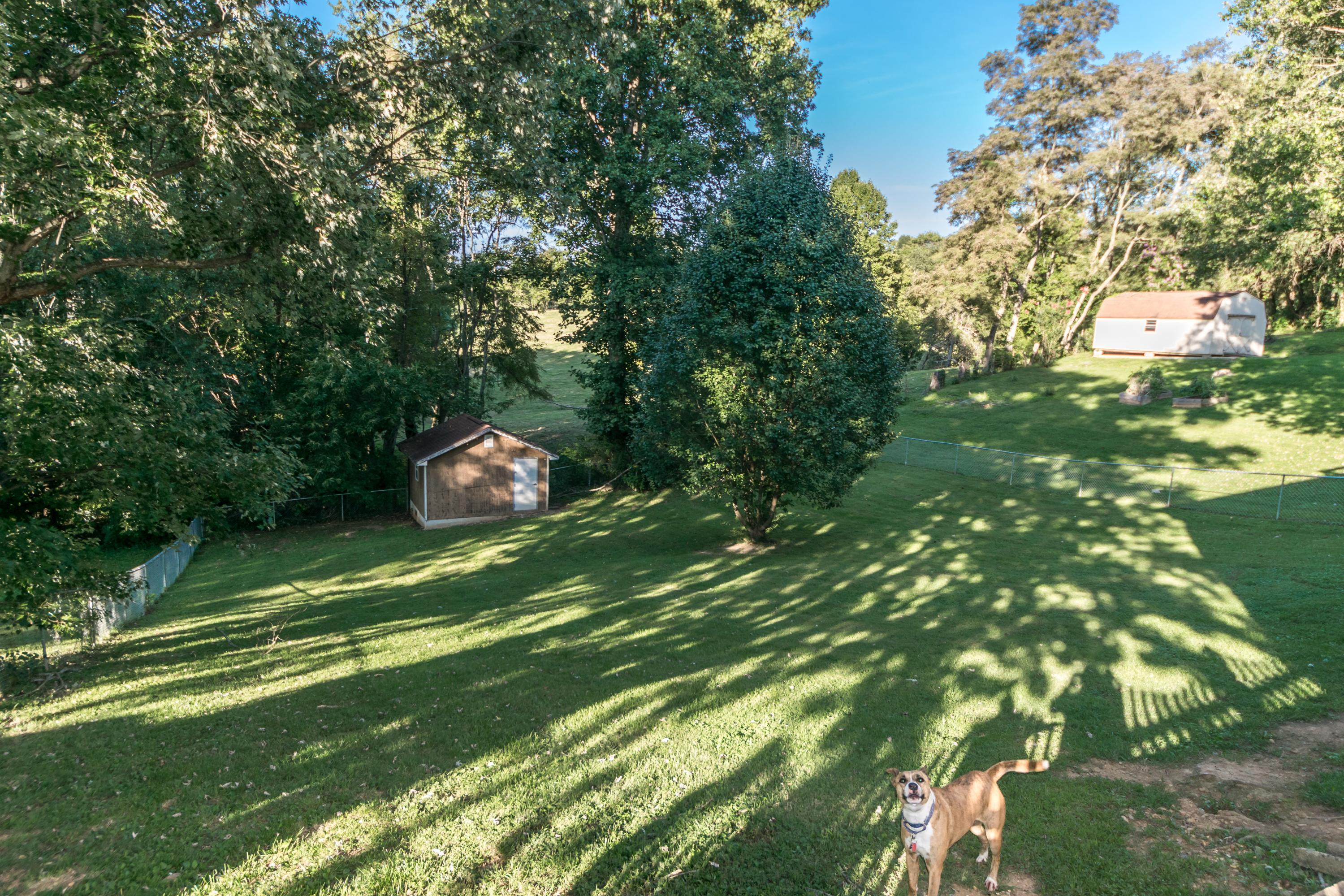 186 Highland Road Jonesborough, TN 37659 - Photo 12 of 20 DSC_0782