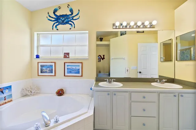 a bathroom with a sink a mirror and a bathtub