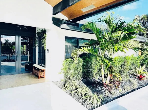 a view of a garden with plants