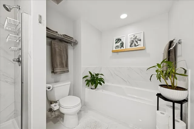a bath room with a toilet and a bathtub