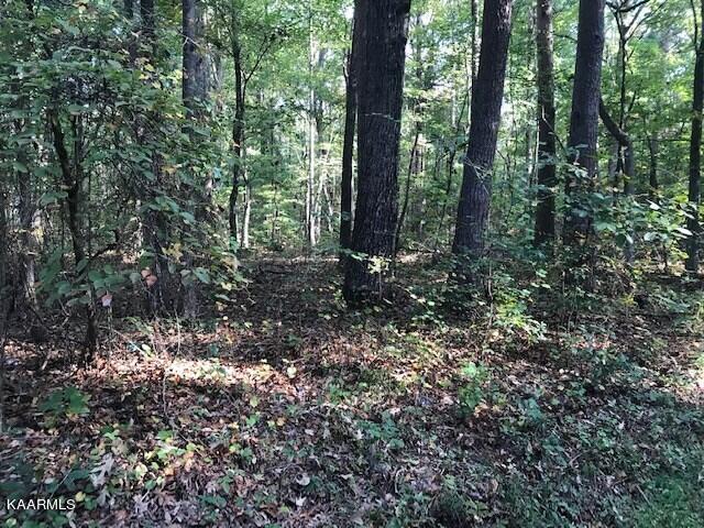 Lot 7 Mountain View Road Benton, TN 37307 - Photo 3 of 6 lot 7 mtn view front