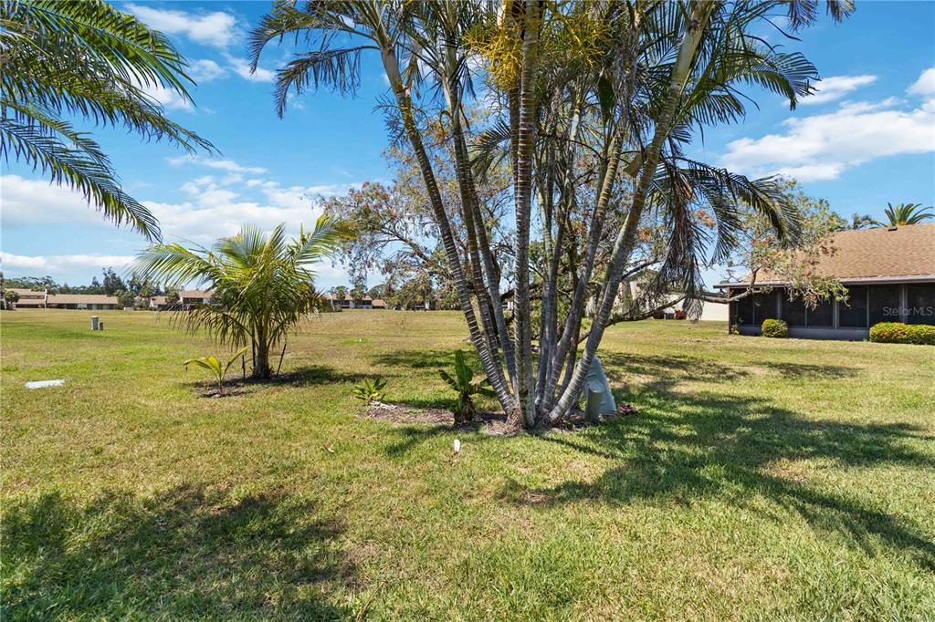 672 White Pine Tree Road, Unit 57 Venice, FL 34285 - Photo 27 of 57 a view of swimming pool with a yard