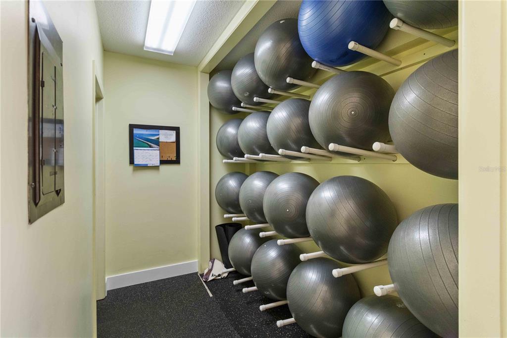 672 White Pine Tree Road, Unit 57 Venice, FL 34285 - Photo 38 of 57