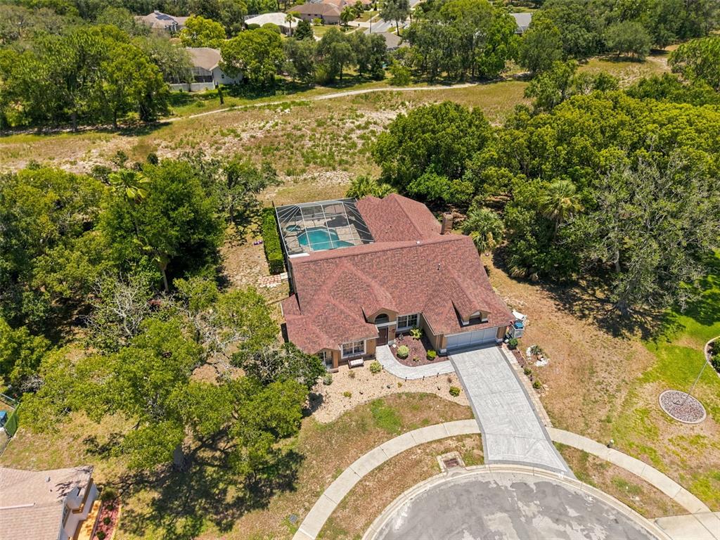 10296 Windsor Court Spring Hill, FL 34608 - Photo 62 of 69