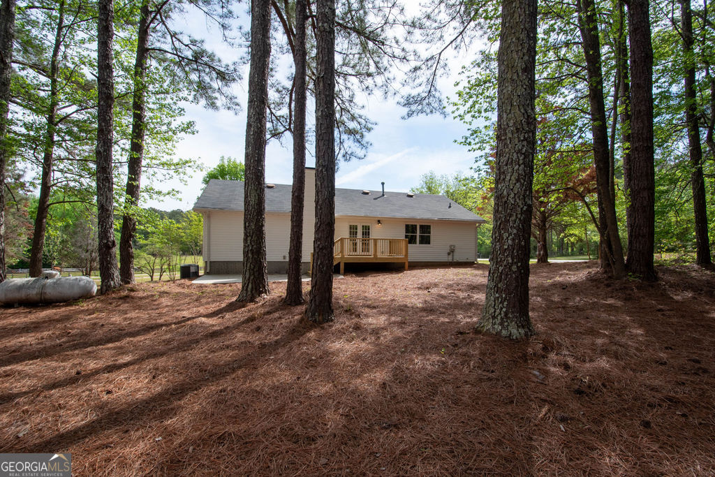 598 Beavers Road Grantville, GA 30220 - Photo 45 of 58