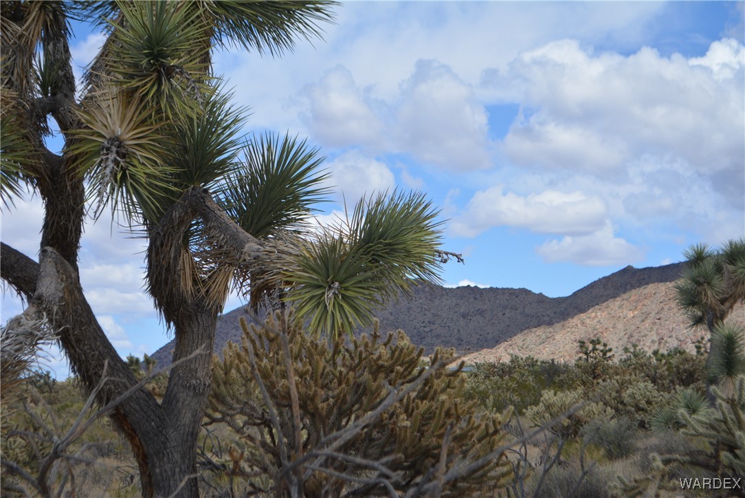 11900 Alan Road Yucca, AZ 86438 - Photo 51 of 99 Gallery Image 51
