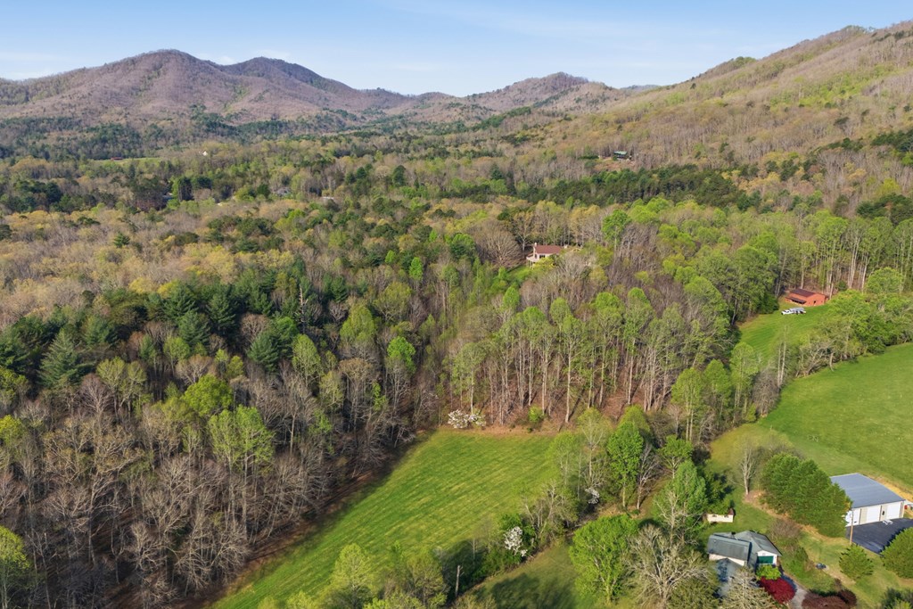 853 Caler Road Brasstown, NC 28902 - Photo 120 of 122 Gallery Image 120