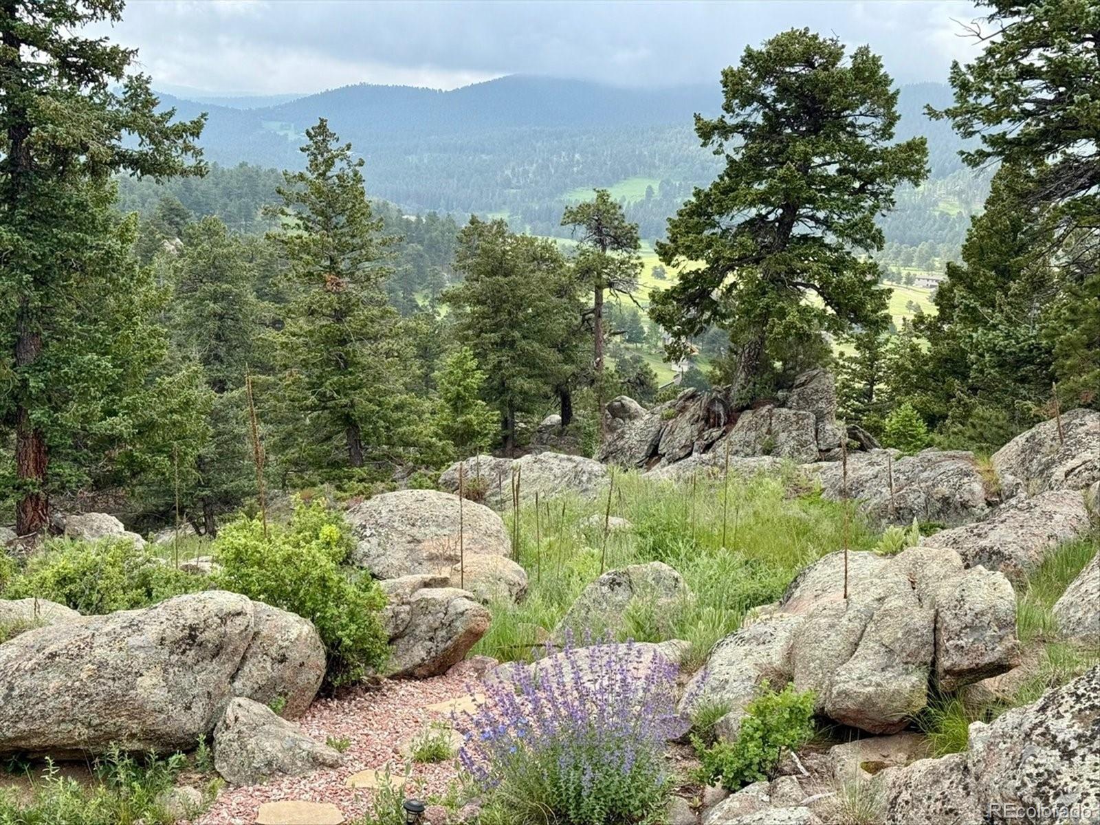 6516 Vesuvius Road Evergreen, CO 80439 - Photo 4 of 50