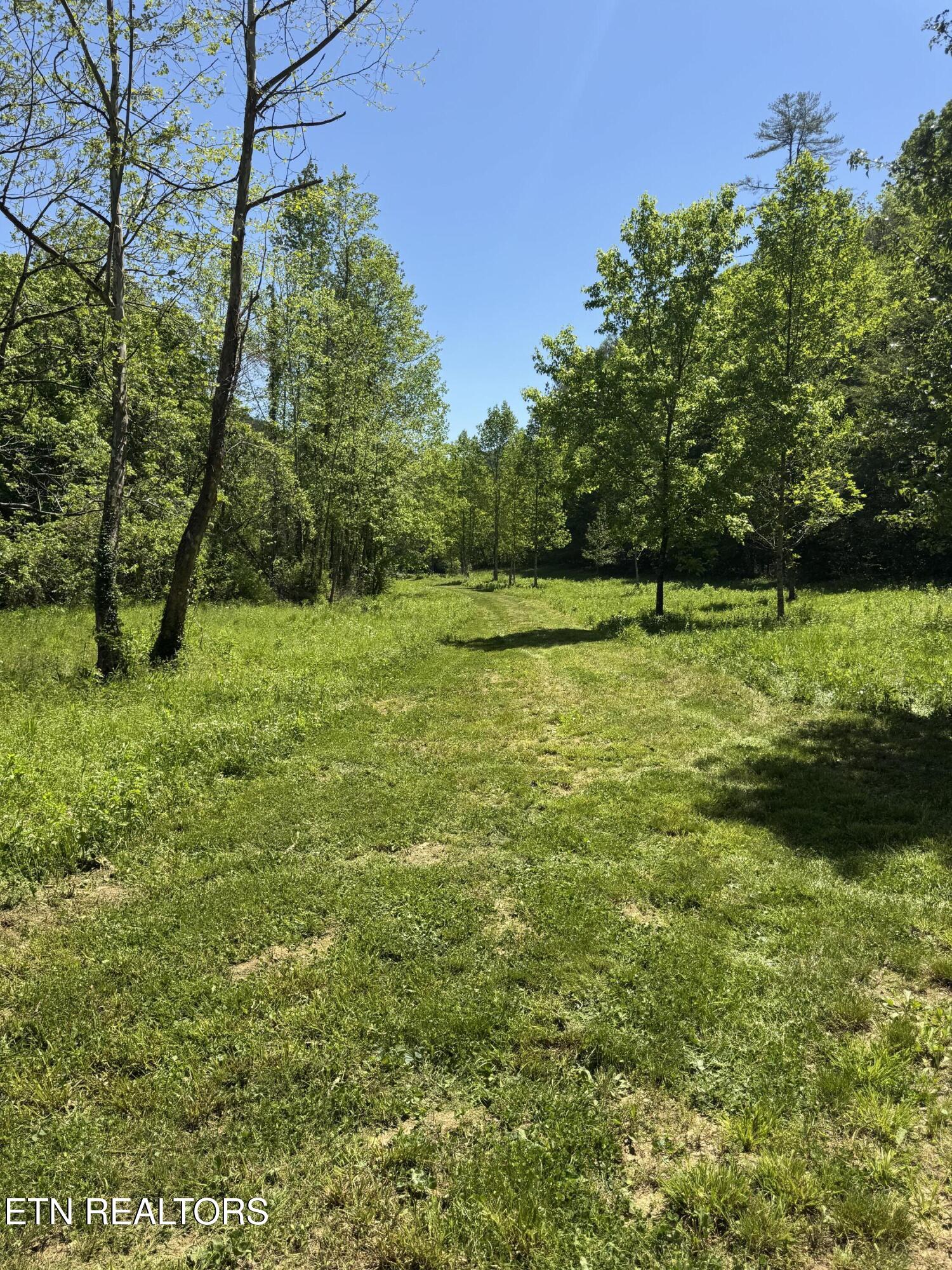915 Chestnut Valley Road Vonore, TN 37885 - Photo 26 of 31 IMG_6197