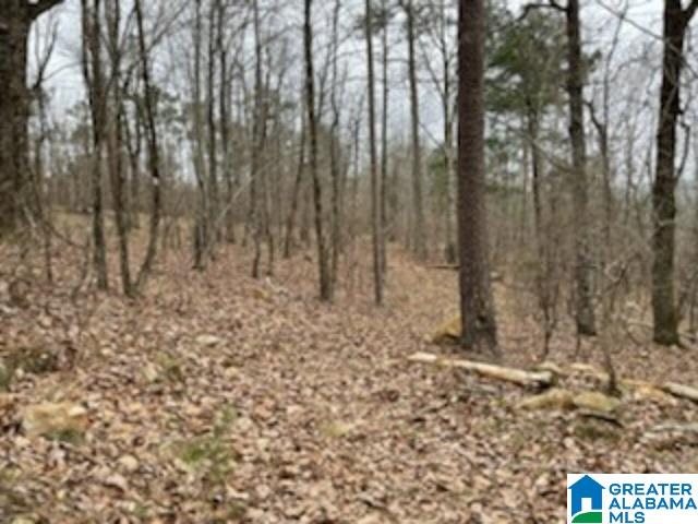 462 Conroy Circle, Unit 710 Sterrett, AL 35147 - Photo 2 of 9