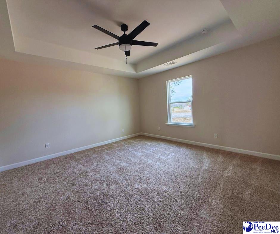1507 Cattle Ridge Road Cheraw, SC 29520 - Photo 20 of 29 Gallery Image 20