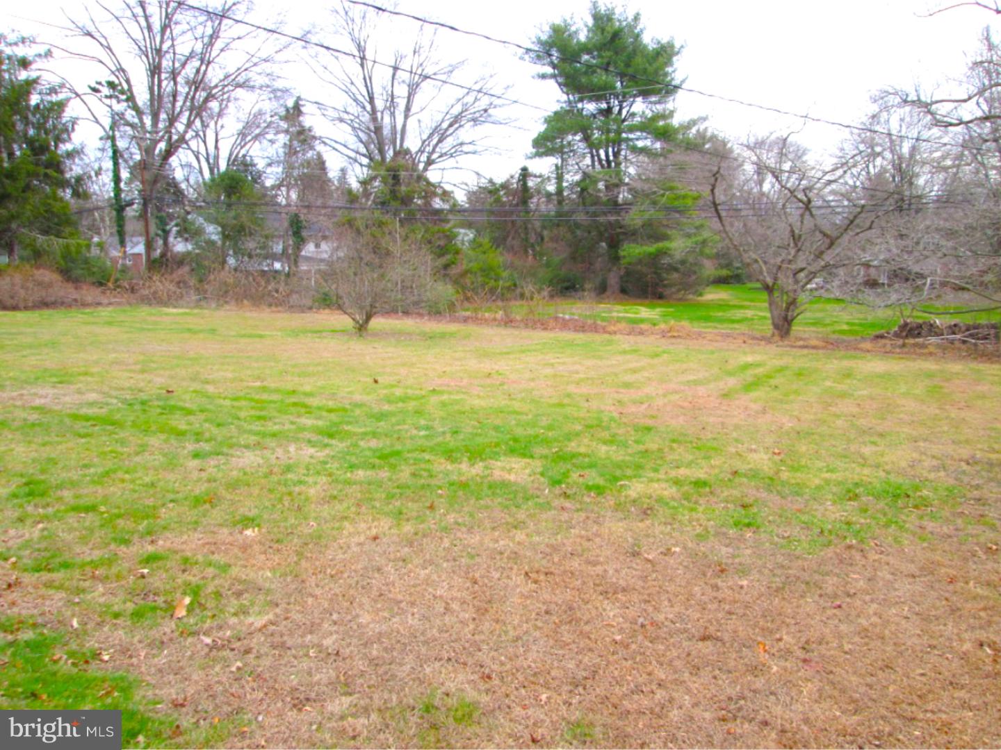 804 Merrill Road Ambler, PA 19002 - Photo 3 of 20 Back Yard