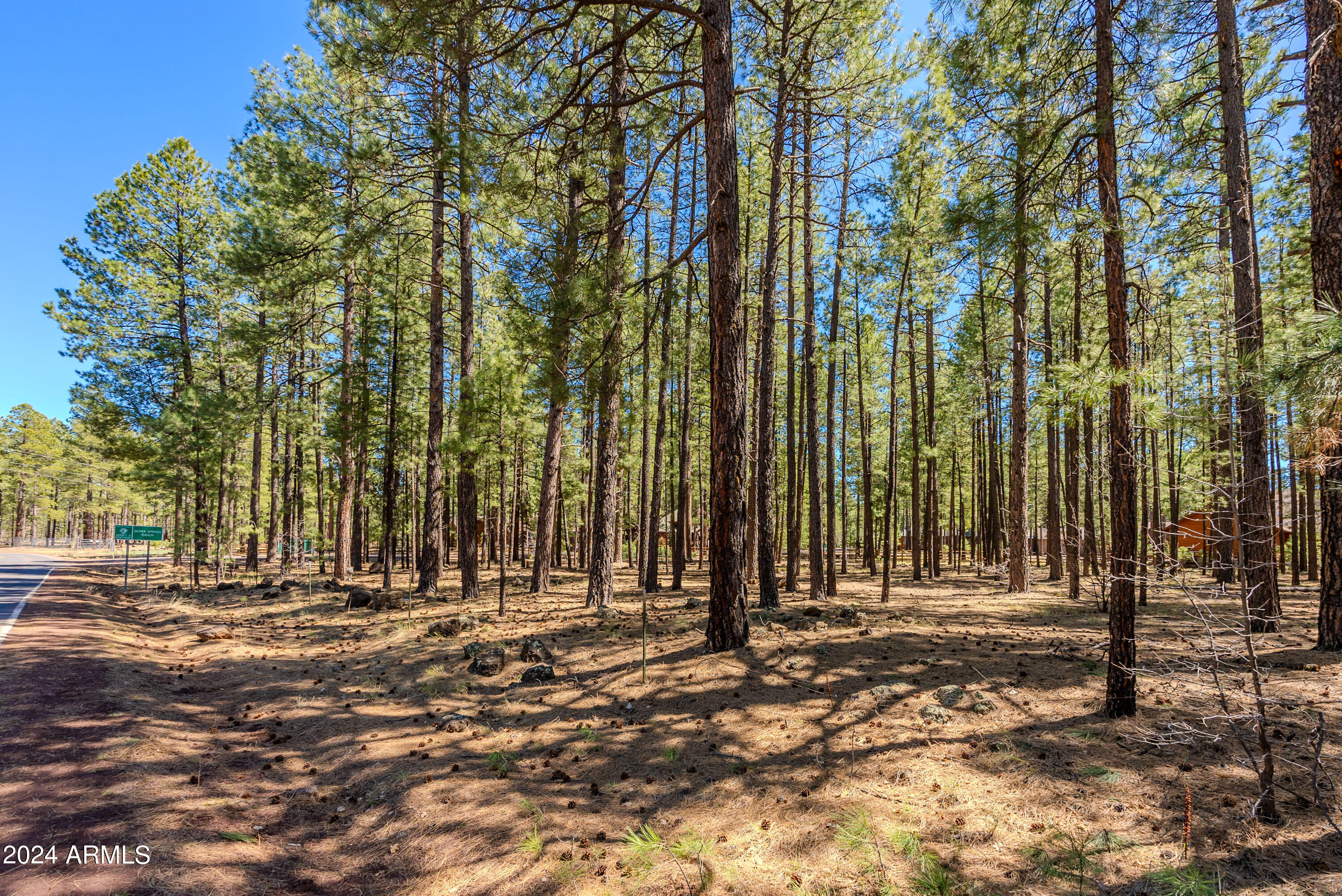 4583 Sky Hi Road Pinetop, AZ 85935 - Photo 20 of 30 4583 Sky Hi-20
