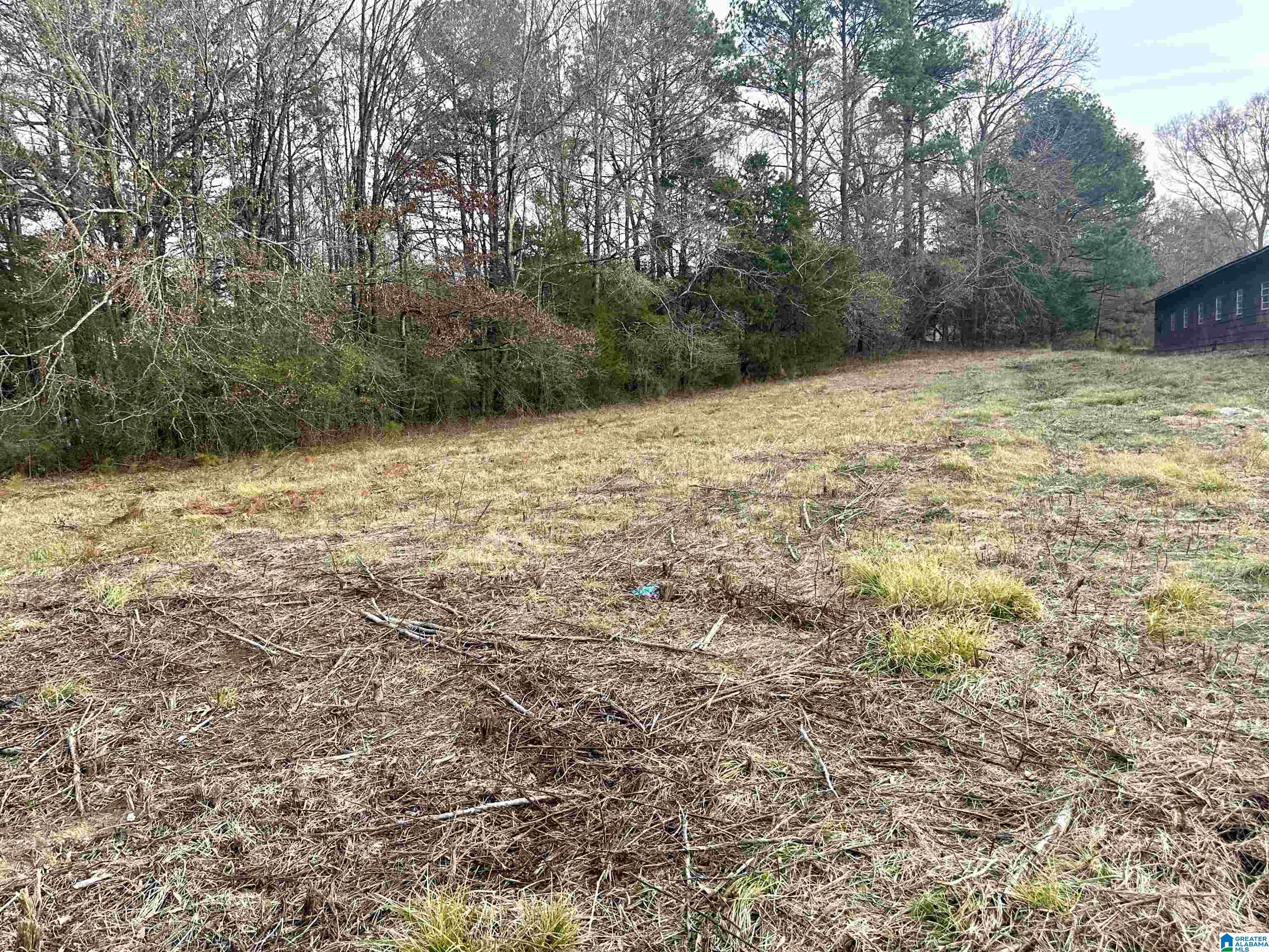 3468 Post Oak Road, Unit 1 Jacksonville, AL 36265 - Photo 4 of 7