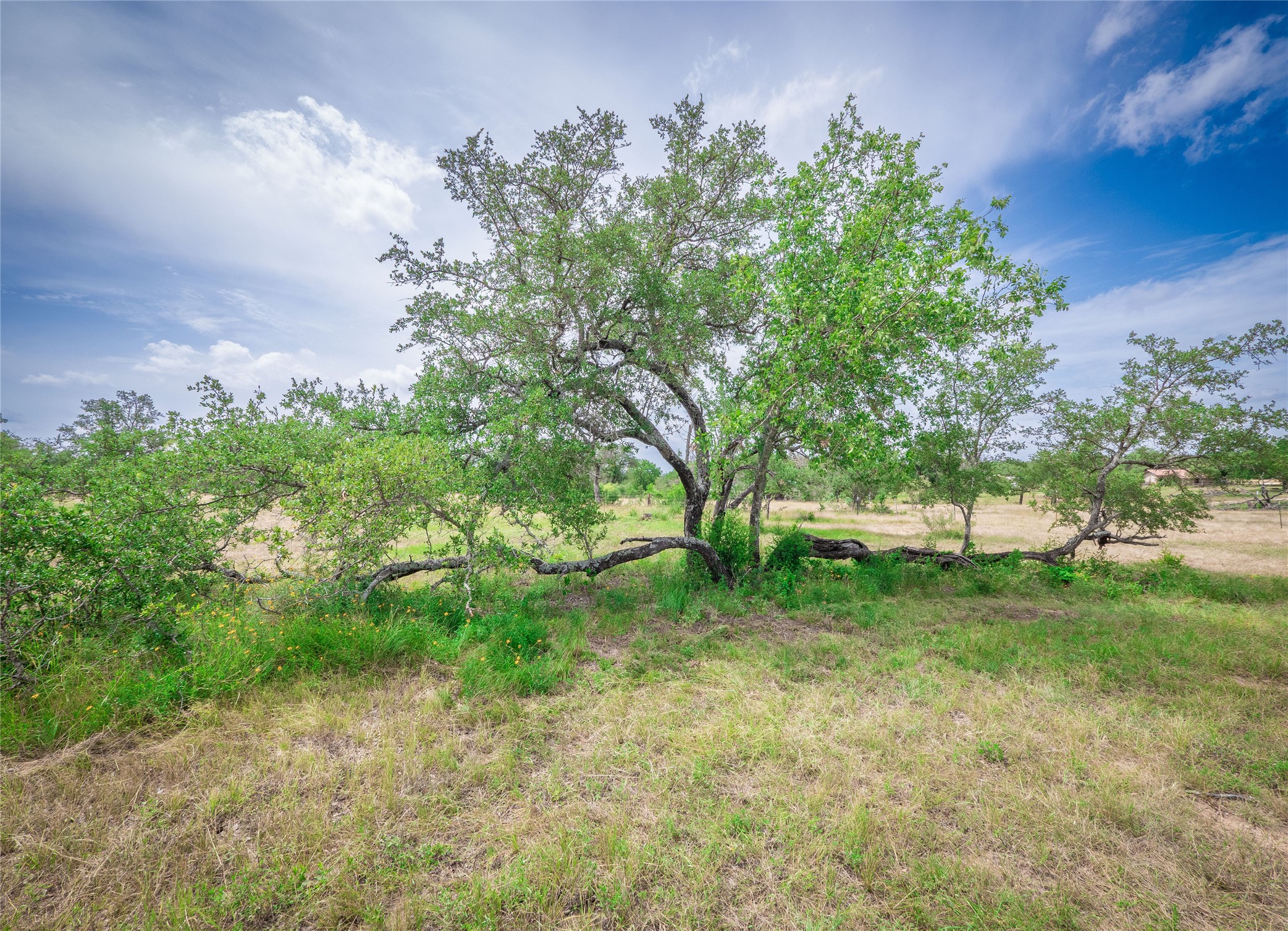Tbd Winnie Smith Road Round Mountain, TX 78663 - Photo 13 of 30 a backyard of a house with lots of green space