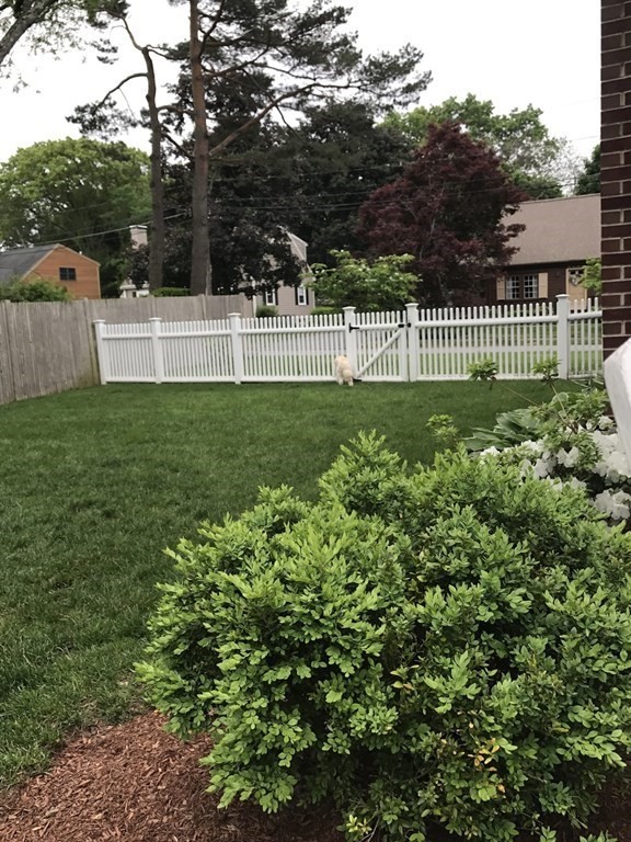 42 Alden Road Needham, MA 02492 - Photo 30 of 30