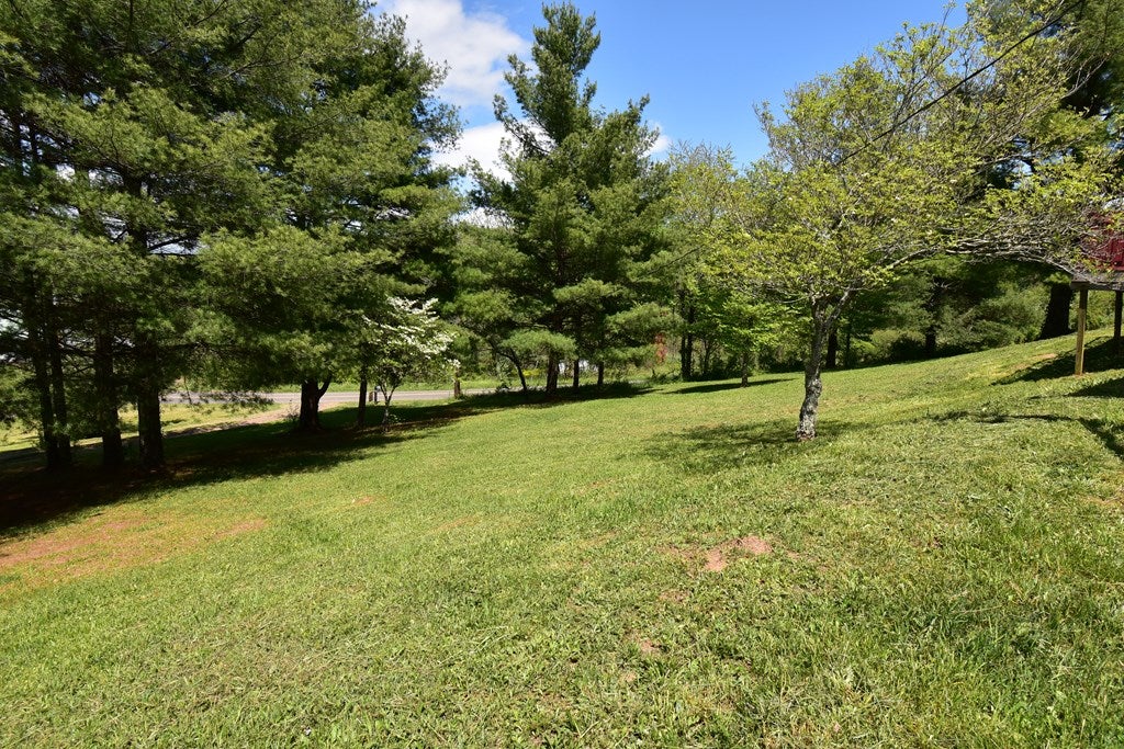 450 Joy Ranch Road Woodlawn, VA 24381 - Photo 28 of 28 Gallery Image 28