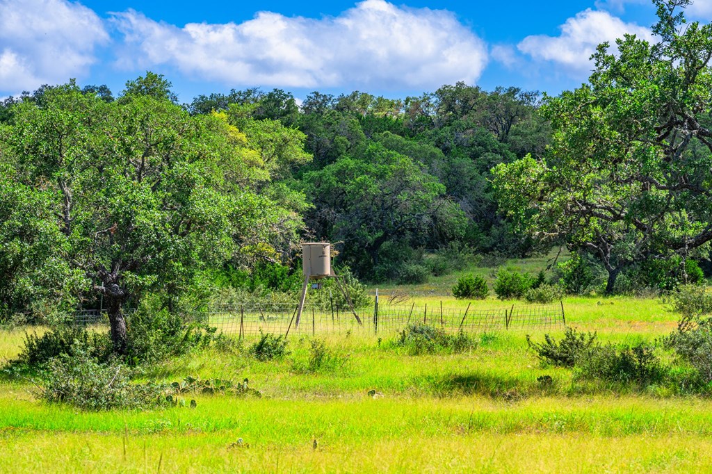 306 Enlightening Rd Mountain Mountain Home, TX 78058 - Photo 12 of 19