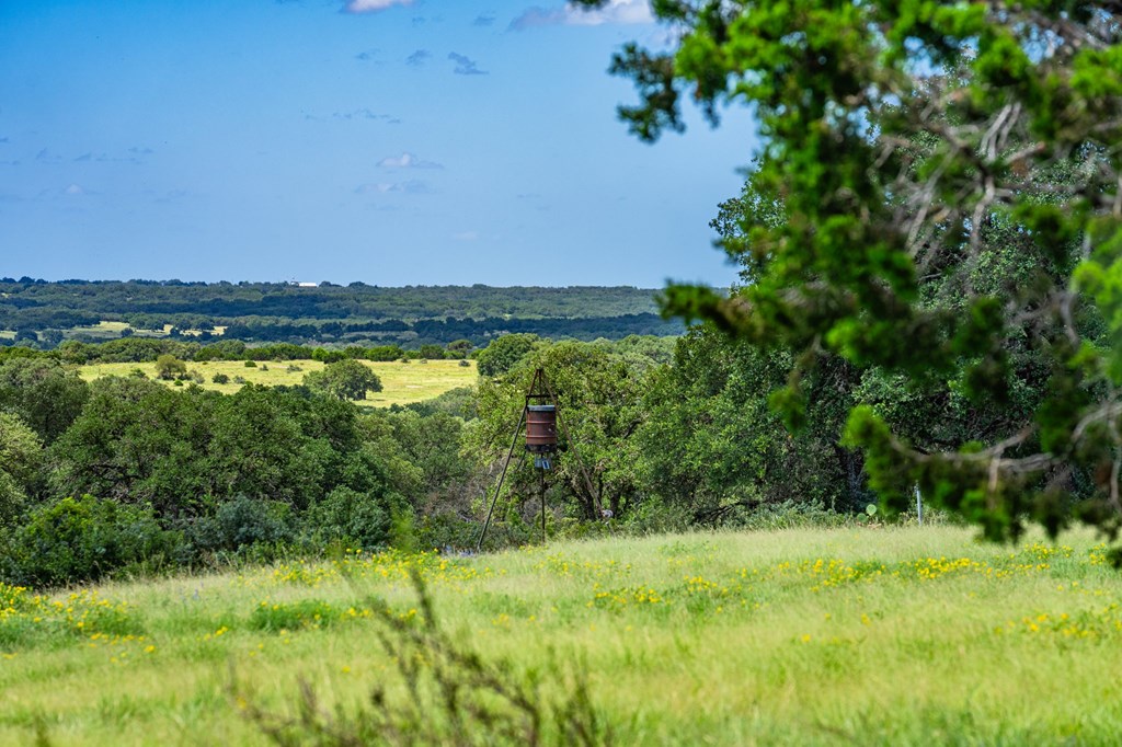 306 Enlightening Rd Mountain Mountain Home, TX 78058 - Photo 15 of 19