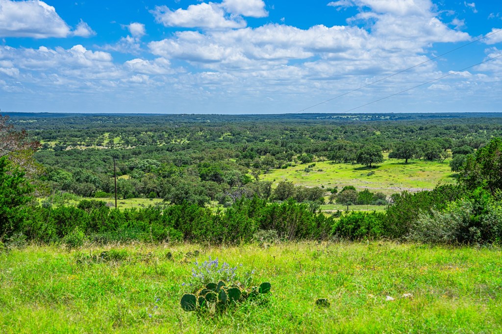 306 Enlightening Rd Mountain Mountain Home, TX 78058 - Photo 18 of 19