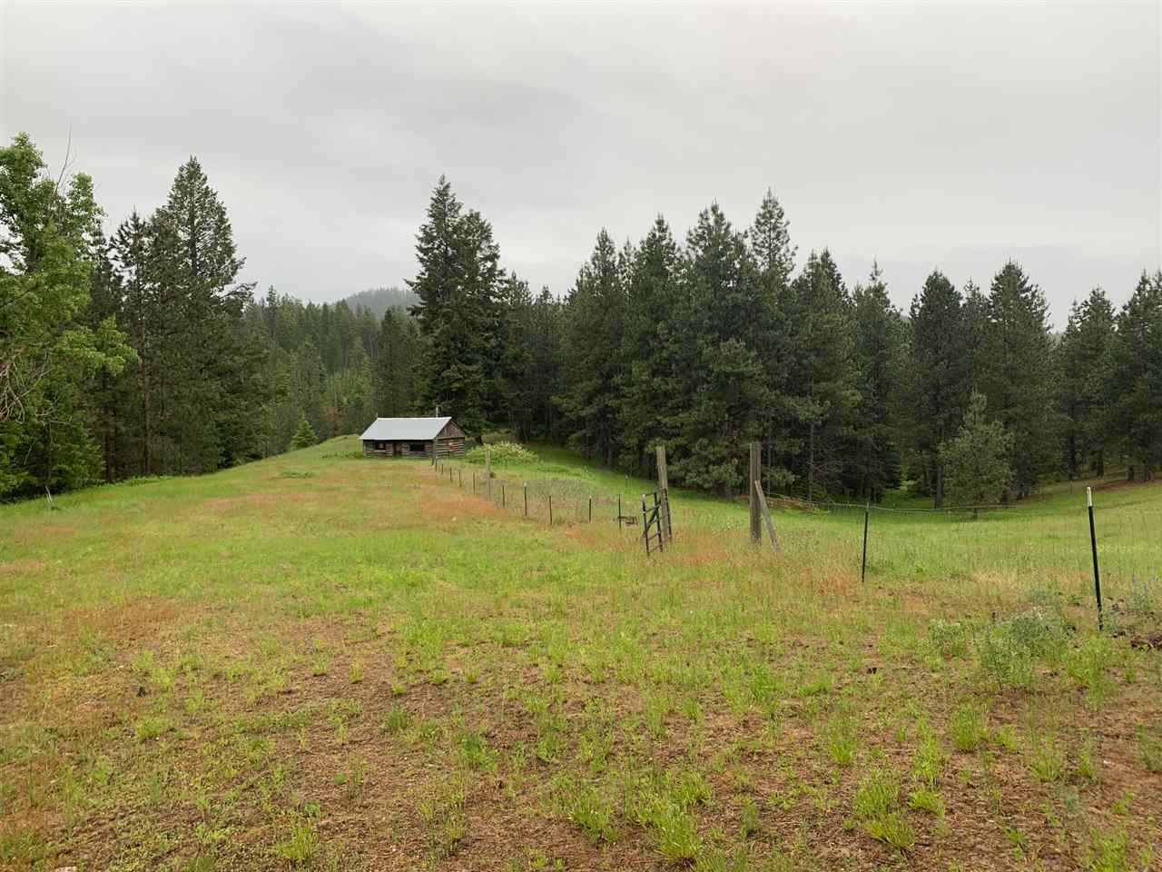 378-xx North Chapman Road Elk, WA 99009 - Photo 1 of 6