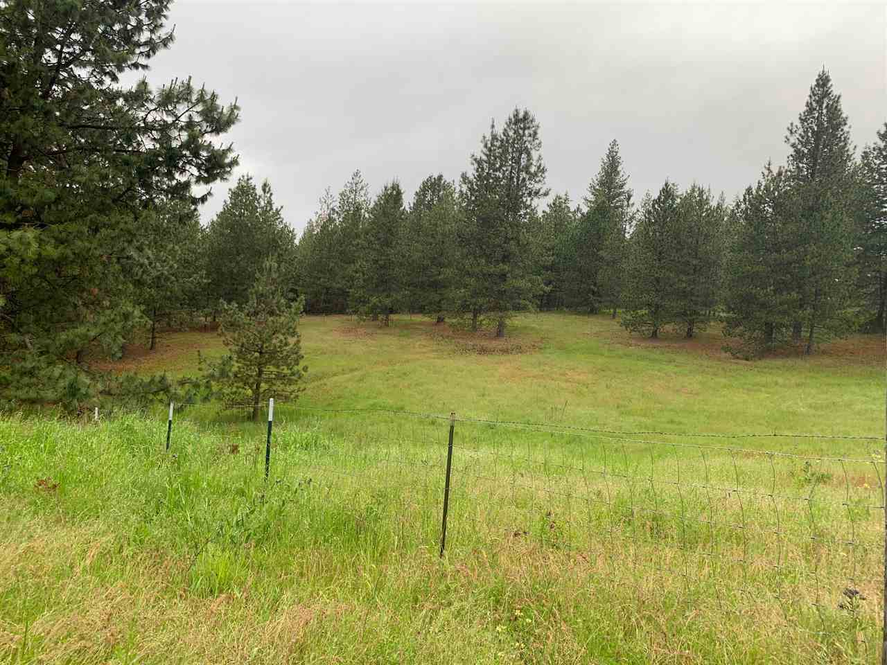 378-xx North Chapman Road Elk, WA 99009 - Photo 3 of 6