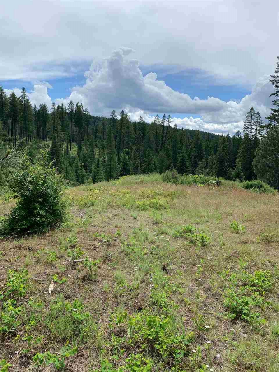 378-xx North Chapman Road Elk, WA 99009 - Photo 4 of 6