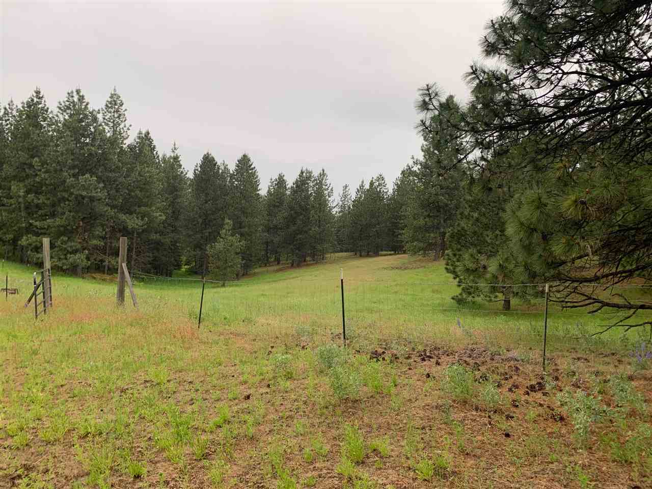 378-xx North Chapman Road Elk, WA 99009 - Photo 5 of 6