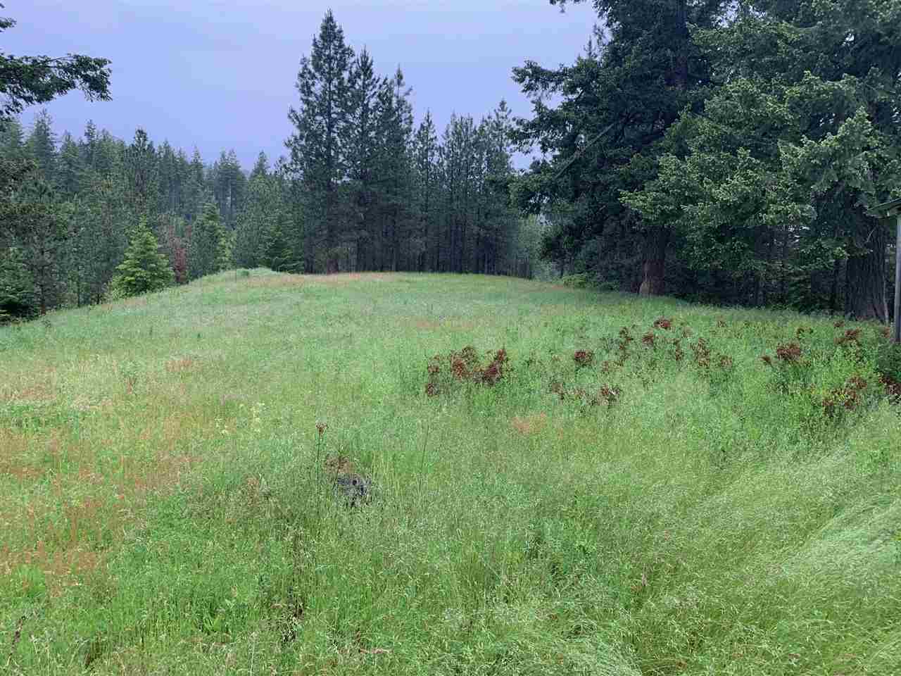 378-xx North Chapman Road Elk, WA 99009 - Photo 6 of 6