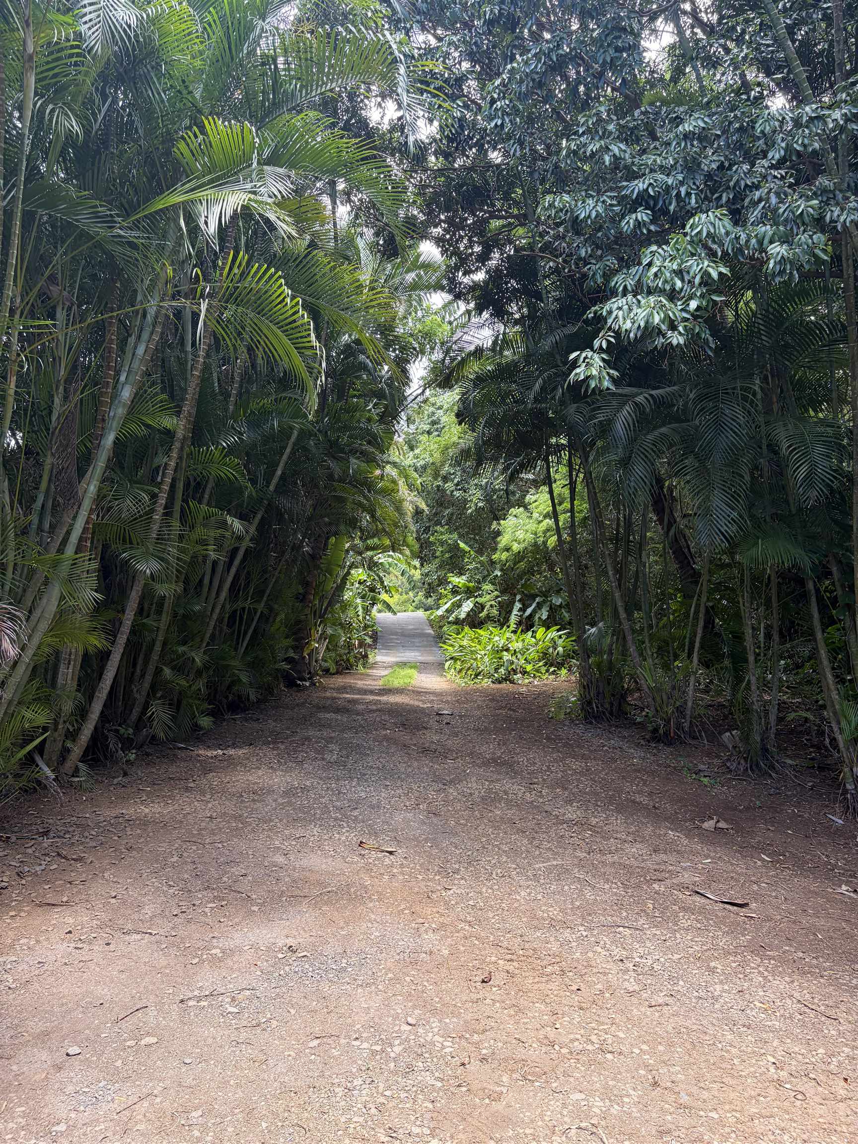 580 West Kuiaha Road Haiku, HI 96708 - Photo 27 of 29