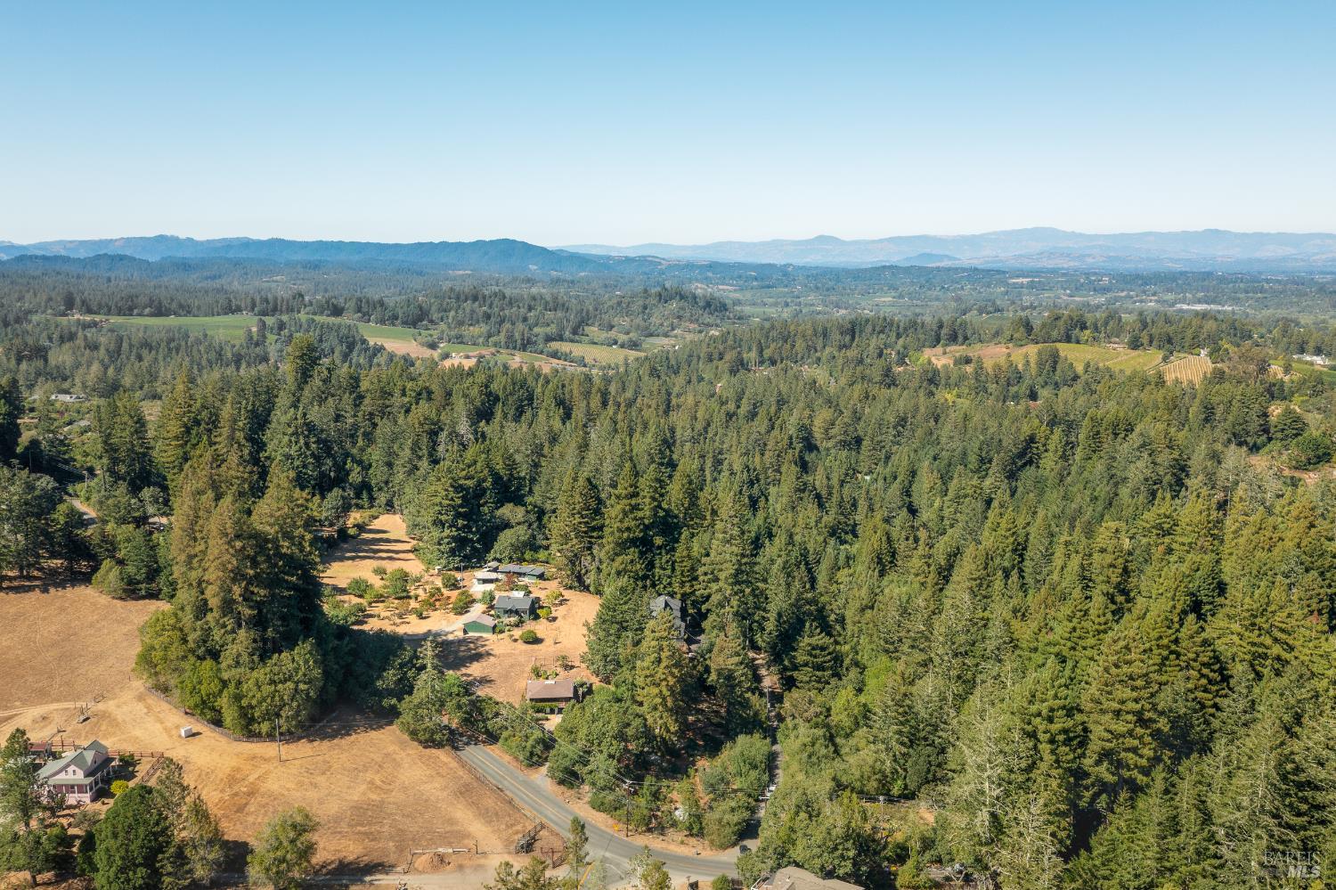 a view of a forest with mountains in the background