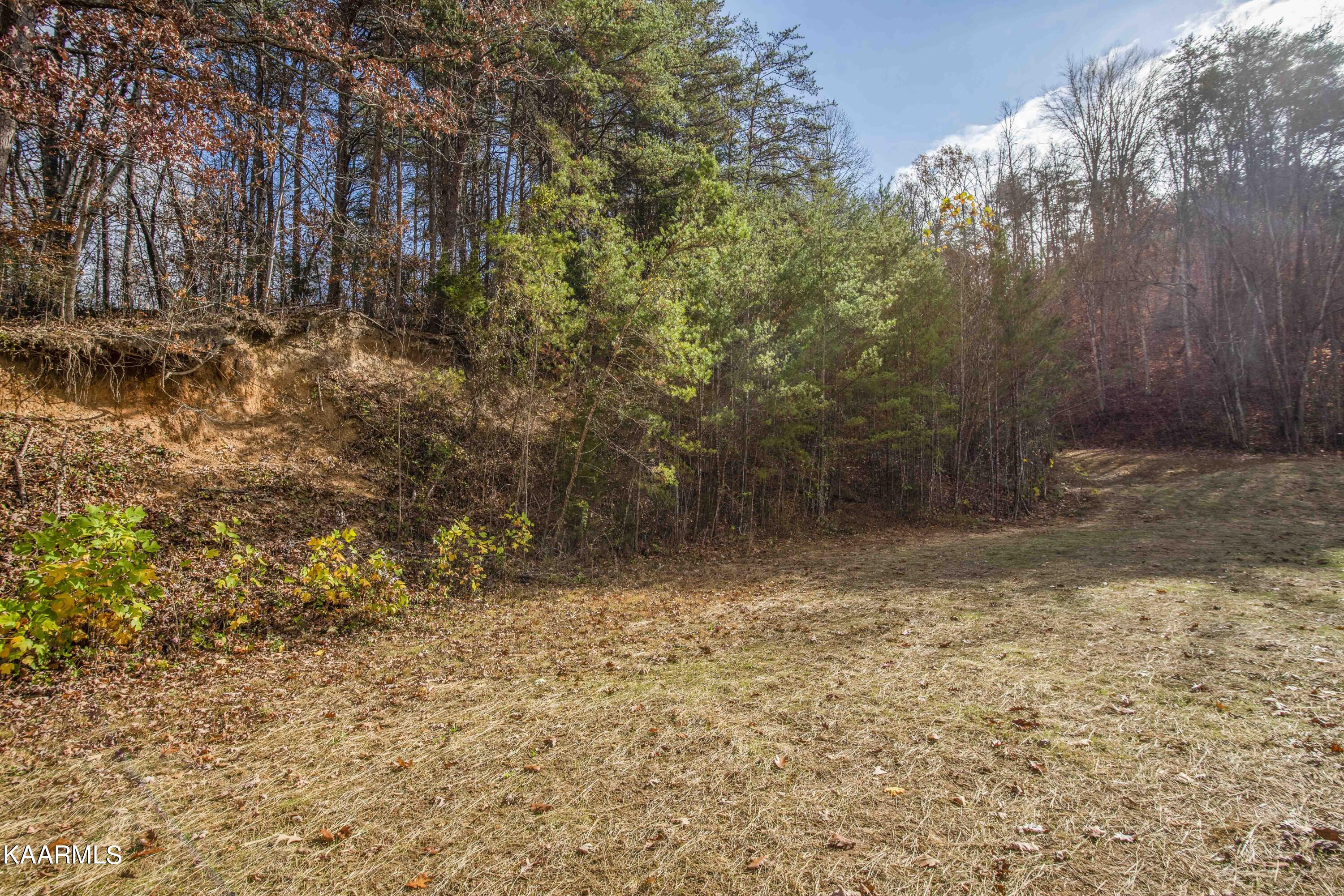 435 Johnson Road Maynardville, TN 37807 - Photo 26 of 37 yard 1_1