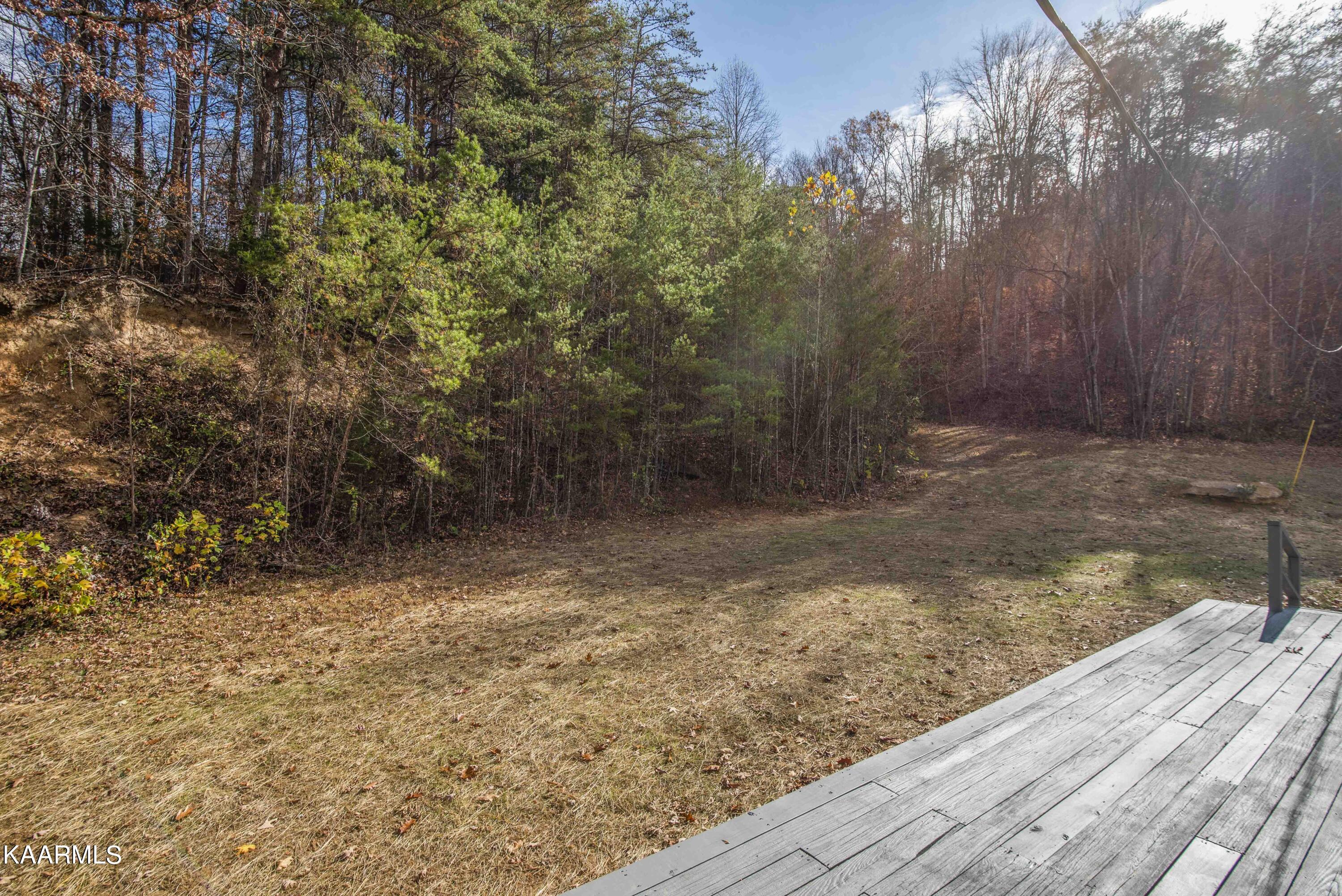 435 Johnson Road Maynardville, TN 37807 - Photo 31 of 37 yard 8_1