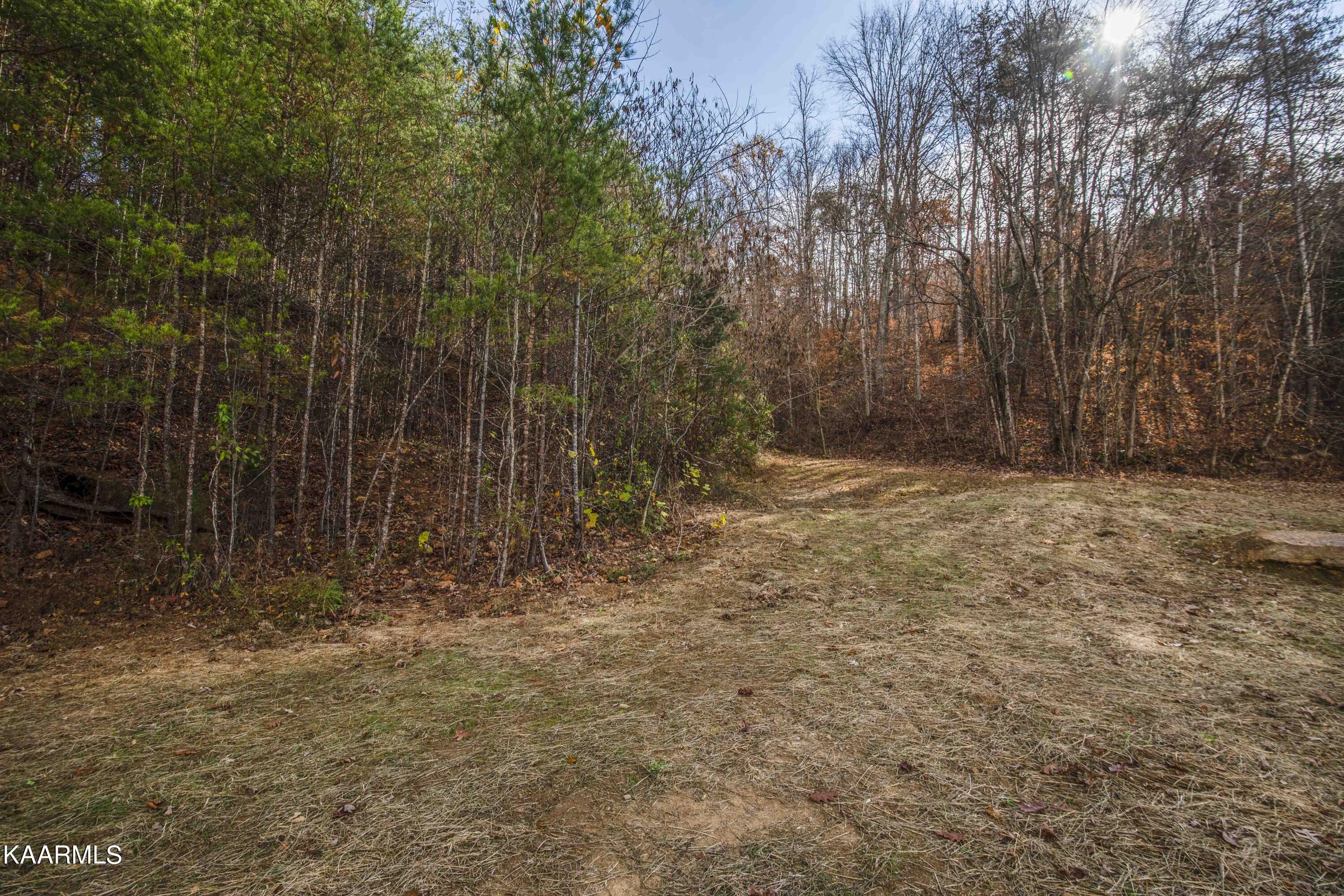 435 Johnson Road Maynardville, TN 37807 - Photo 35 of 37 yard 6_1