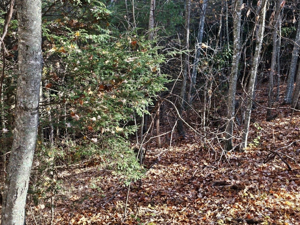 60-a-34 Ivanhoe Road, Unit 60A34 Ivanhoe, VA 24350 - Photo 15 of 15 Gallery Image 15