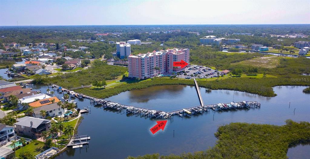 4516 Seagull Drive, Unit 218 New Port Richey, FL 34652 - Photo 1 of 1