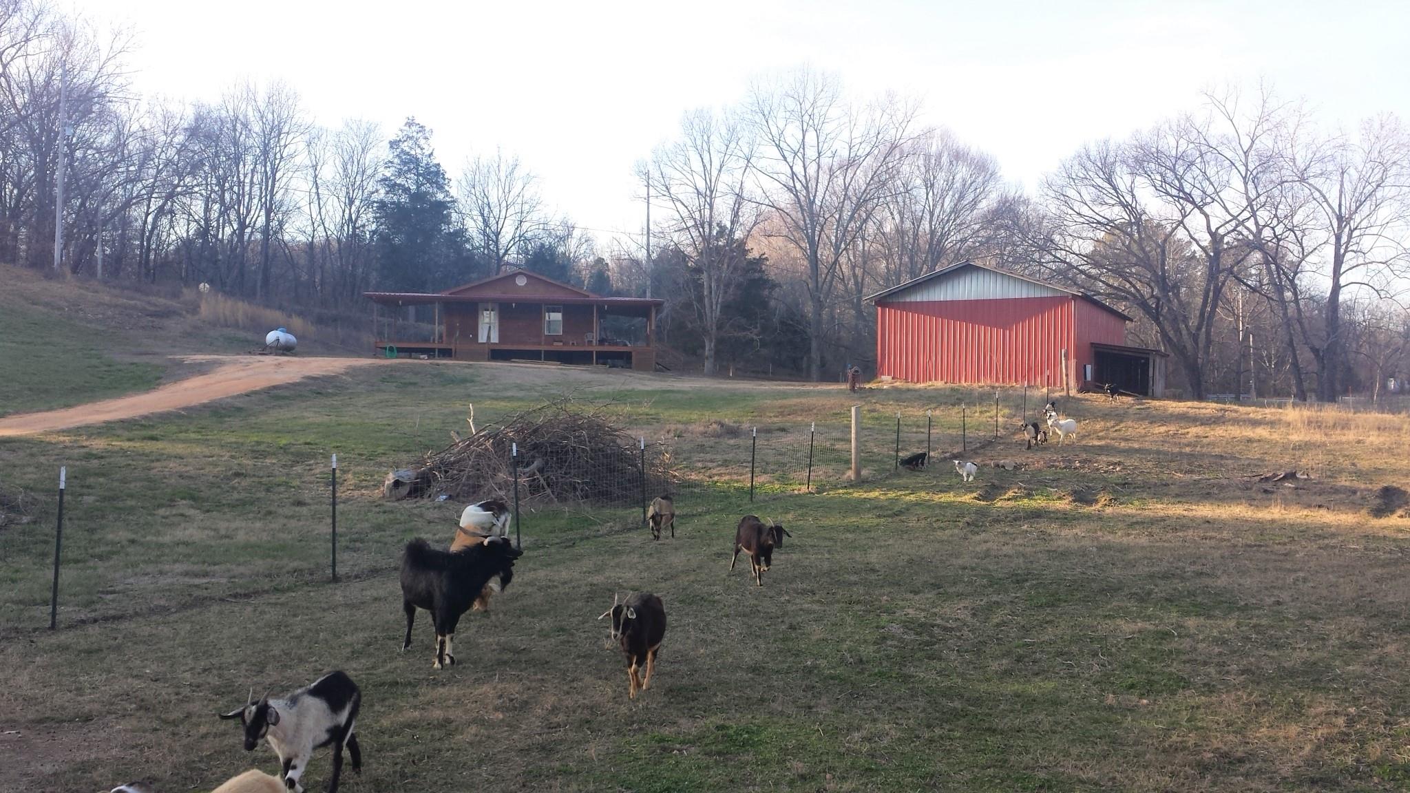 6306 Cypress Road Lyles, TN 37098 - Photo 2 of 28 Gallery Image 2