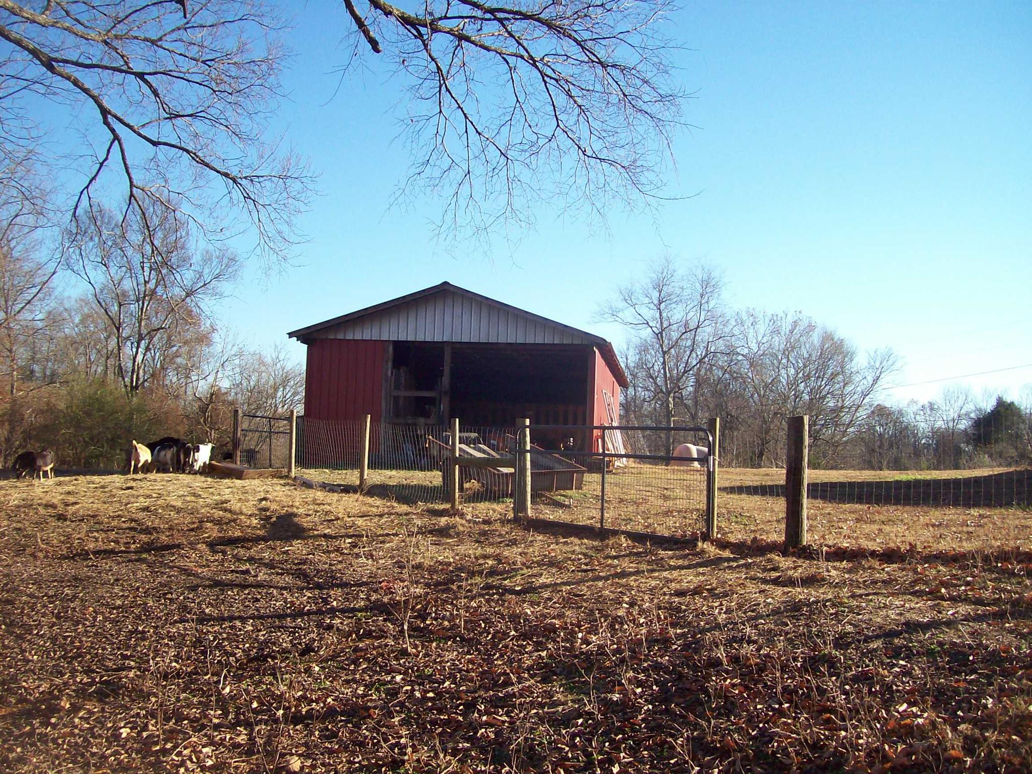 6306 Cypress Road Lyles, TN 37098 - Photo 15 of 28 Gallery Image 15