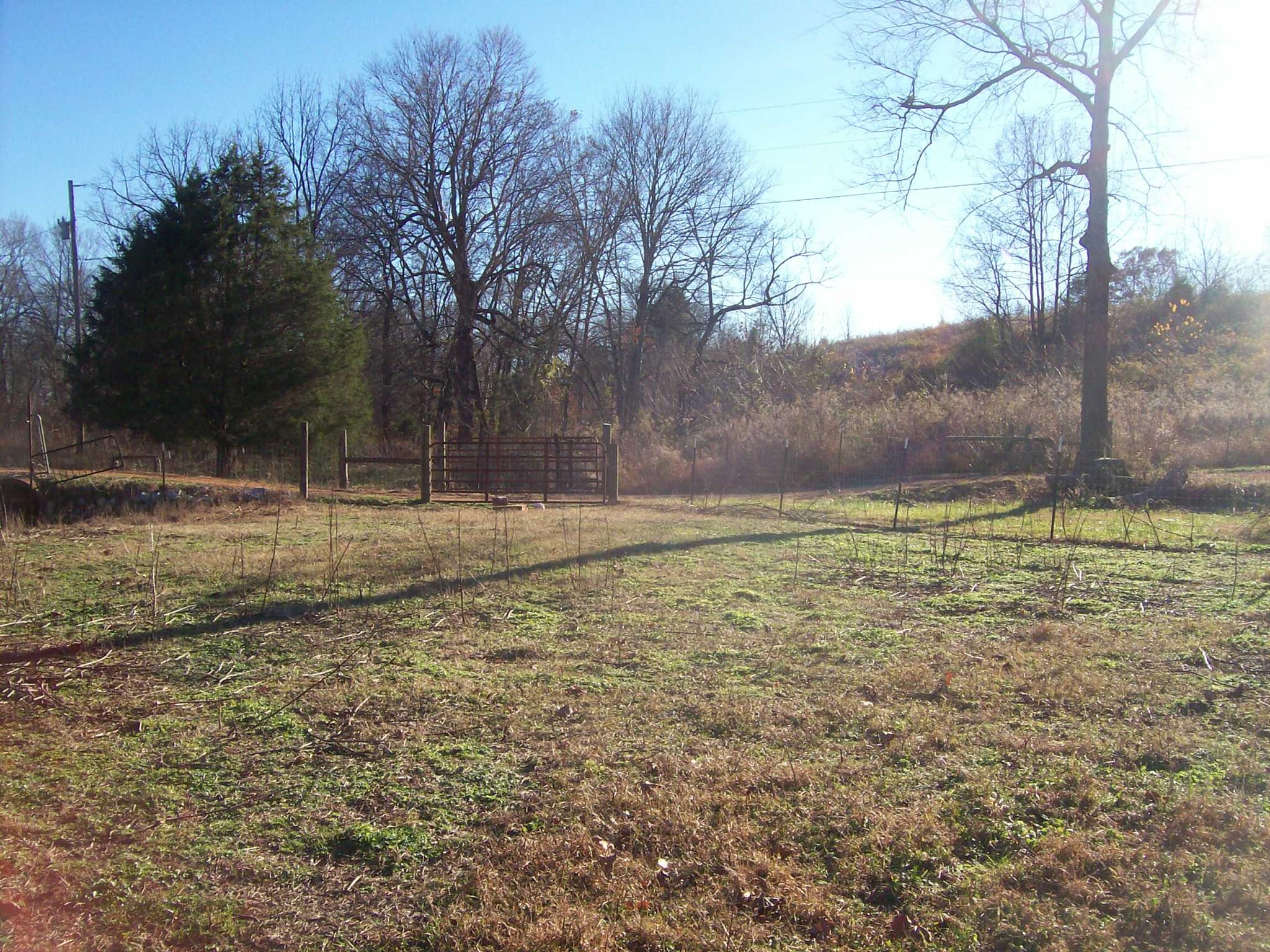 6306 Cypress Road Lyles, TN 37098 - Photo 18 of 28 Gallery Image 18