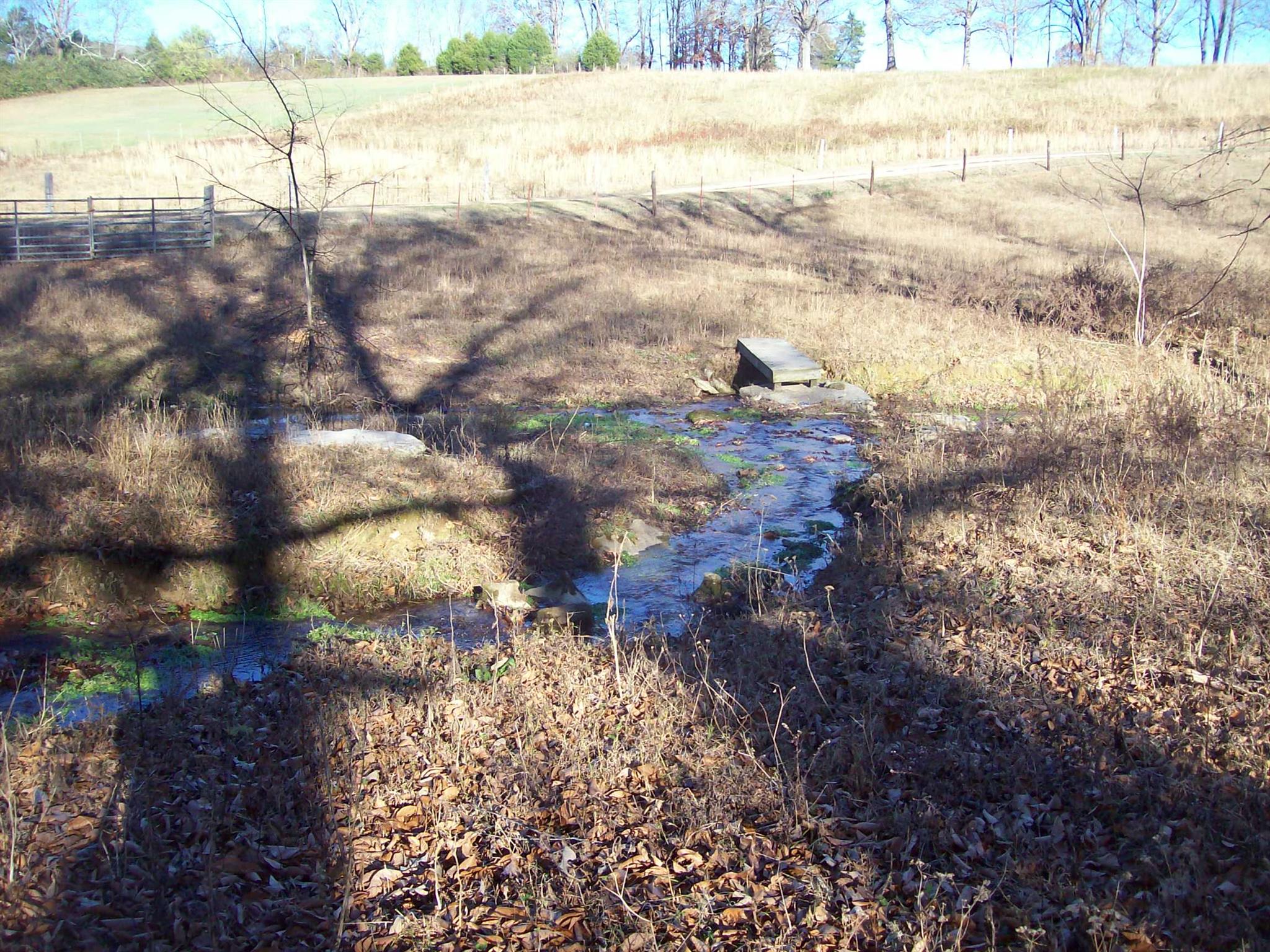 6306 Cypress Road Lyles, TN 37098 - Photo 23 of 28 Gallery Image 23
