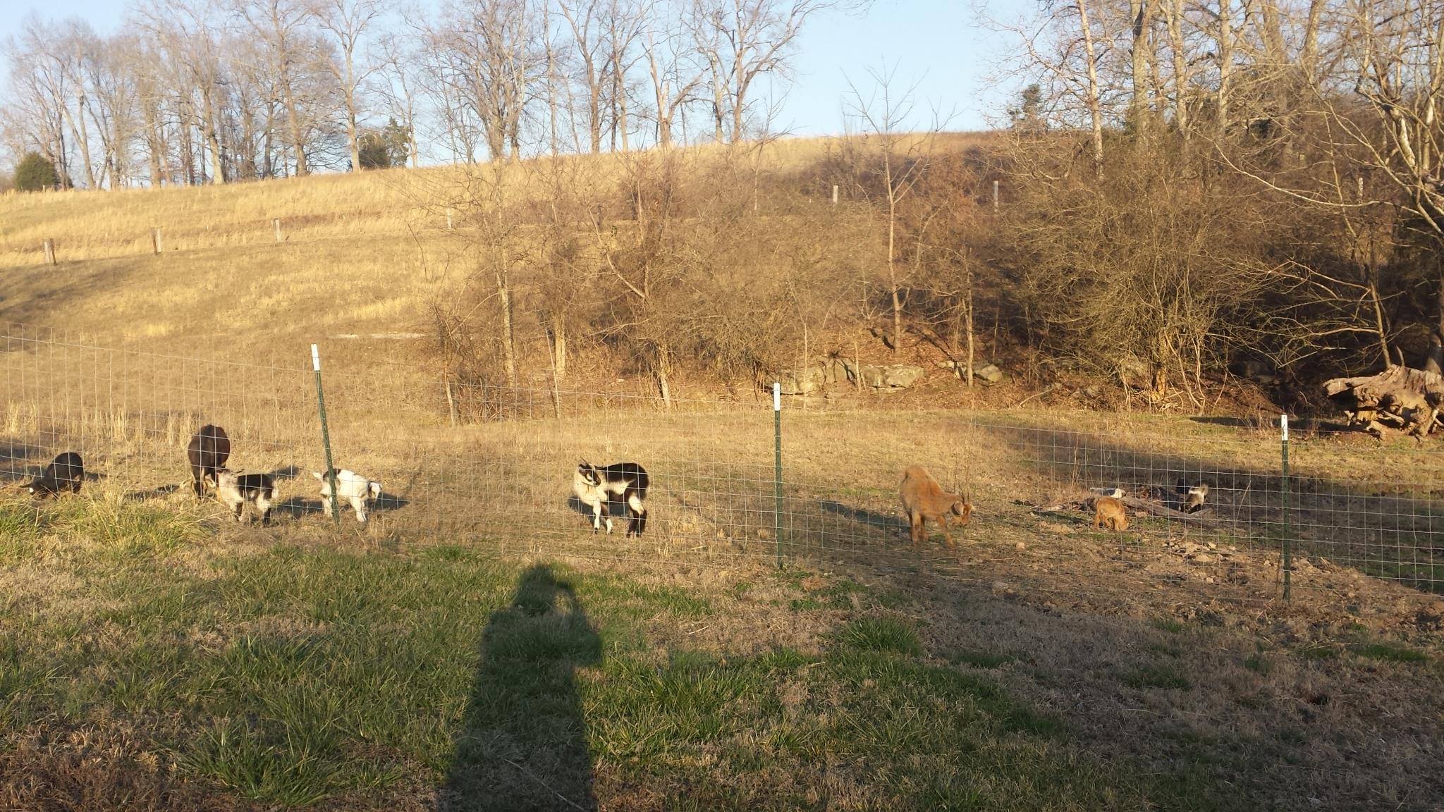 6306 Cypress Road Lyles, TN 37098 - Photo 28 of 28 Gallery Image 28