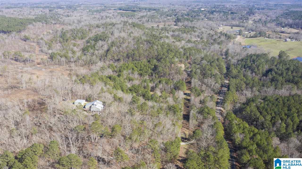 8737 Brasher Road Pinson, AL 35126 - Photo 45 of 50