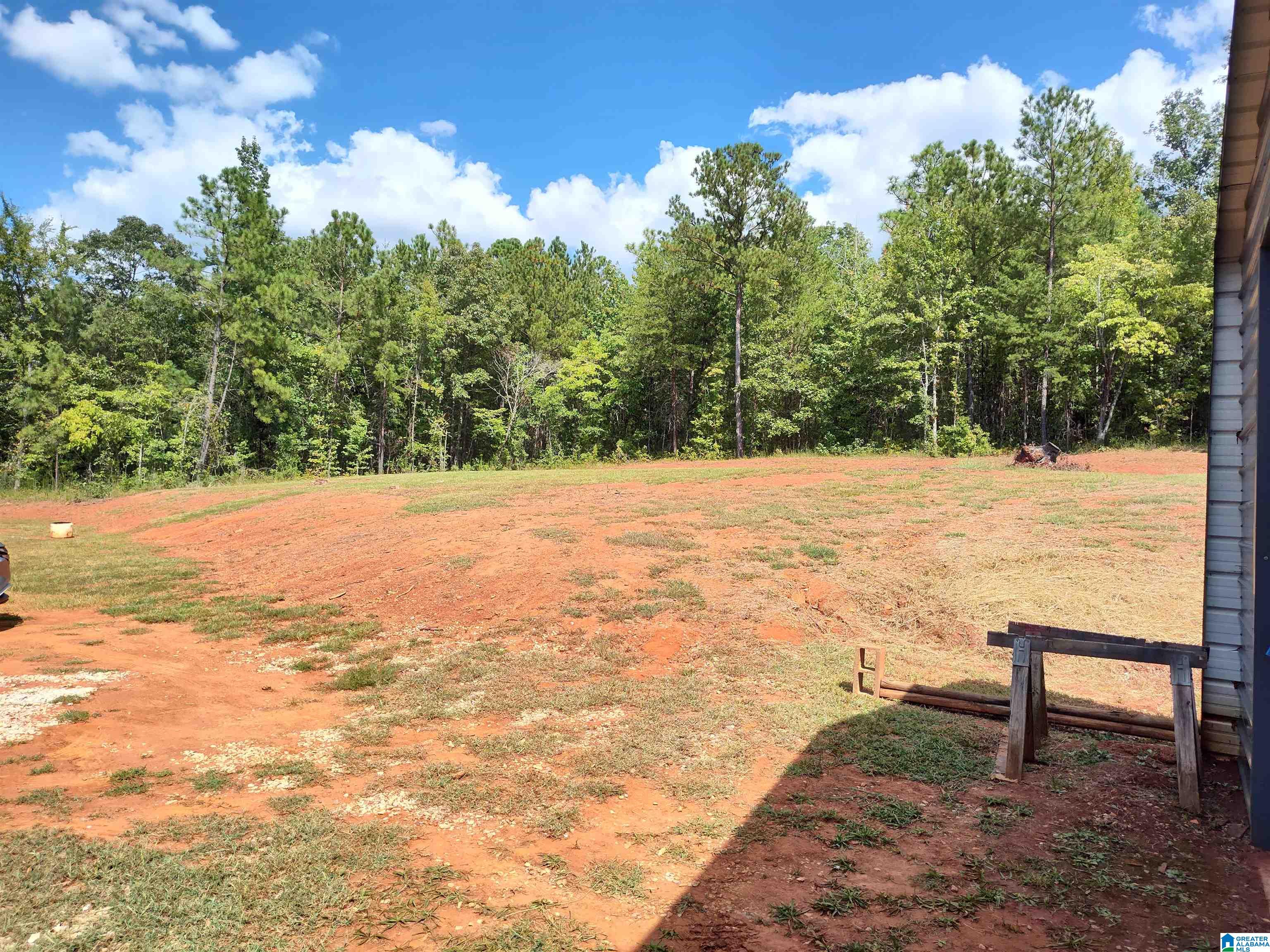 1425 Heasletts Road Childersburg, AL 35044 - Photo 4 of 28