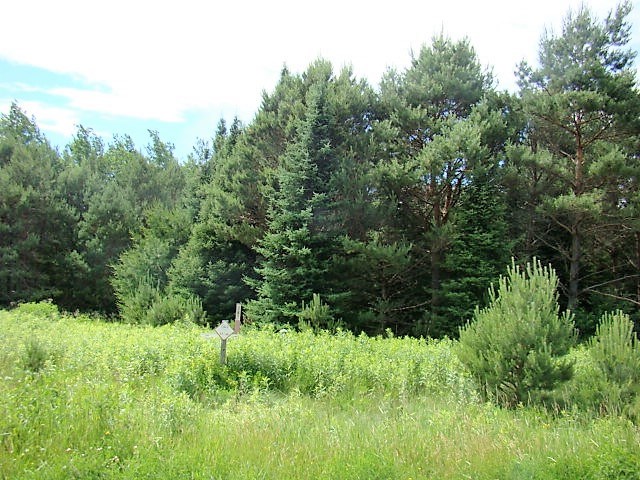 Lot #7 Prairie River Merrill, WI 54452 - Photo 1 of 1