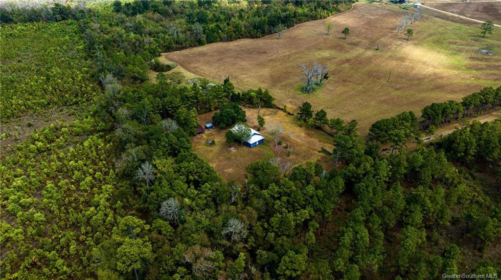 1411 Robert Pinder Road Starks, LA 70661 - Photo 13 of 17