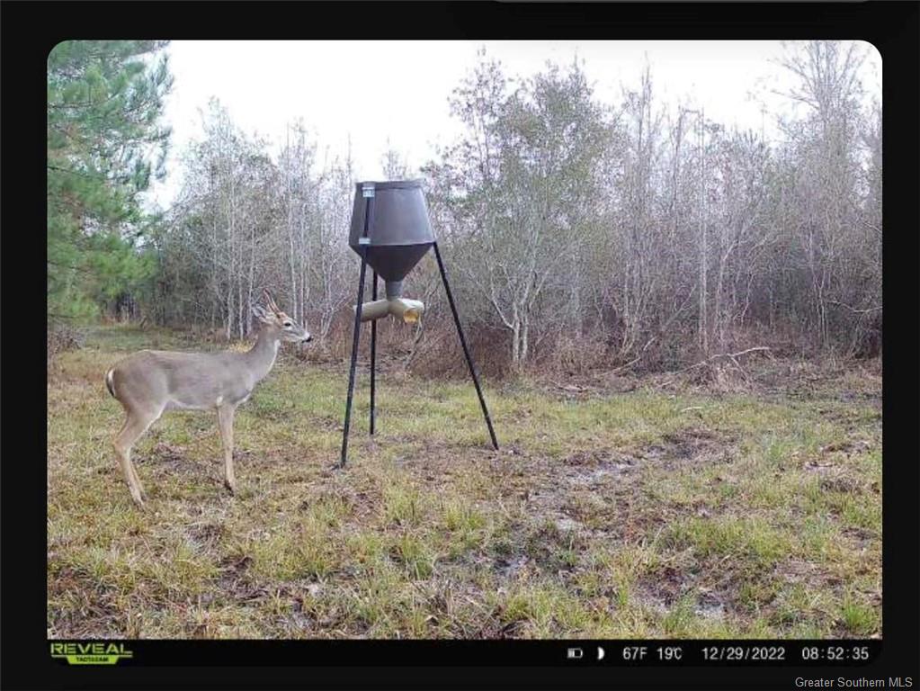 1411 Robert Pinder Road Starks, LA 70661 - Photo 17 of 17