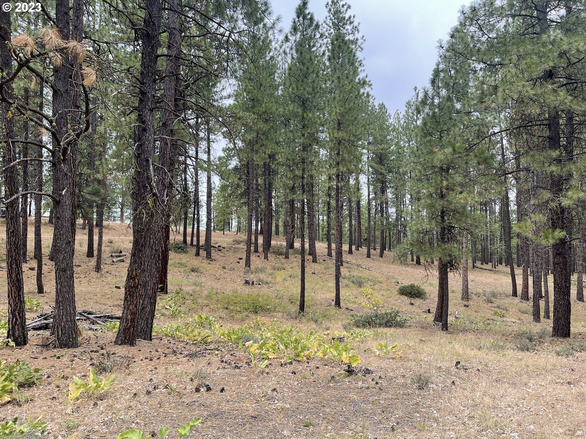 3 McNickols Road Goldendale, WA 98620 - Photo 28 of 32 Gallery Image 28