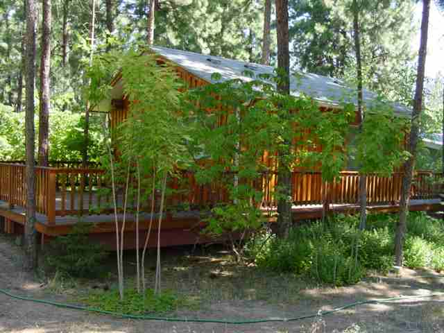 27005 West Long Lake Road Ford, WA 99013 - Photo 8 of 8